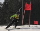 ortsschimeisterschaft 2017