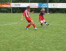 pfc 2011