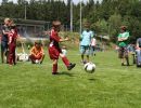 pfc 2011