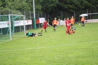 pfc 2011
