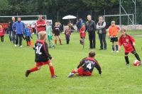 pfc 2011
