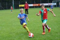 pfc 2011