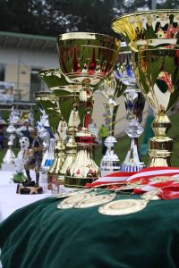pfc 2011