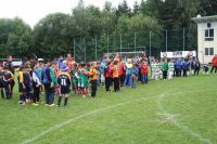 pfc 2011