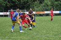 pfc 2011