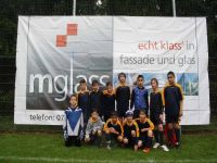 pfc chemie linz