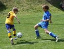 pfc 2012 u12