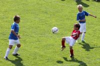 pfc 2012 u8