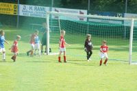 pfc 2012 u8