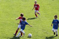 pfc 2012 u8