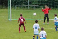 pfc 2012 u8
