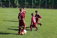 pfc 2012 u8
