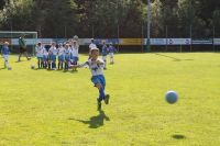 pfc 2012 u8