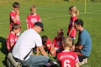 pfc 2012 u8