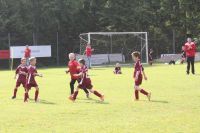 pfc 2013