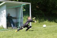 pfc 2013