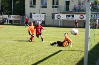 pfc 2013