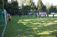 pfc 2013