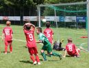 pfc 2013 finale
