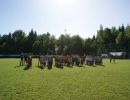 pfc 2013 u 9