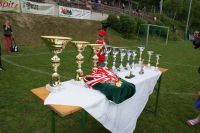 pfc 2013 u 9