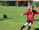 pfc 2014 u10