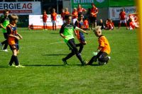 pfc 2017 2 mg 2204