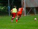 pfc 2017 u13
