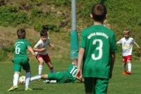 pfc 2023 u10 s