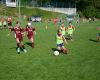 pfc 2023 u8 s