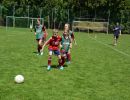 pfc 2023 u8 s