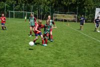 pfc 2023 u8 s