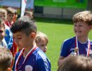 pfc3 u8 s