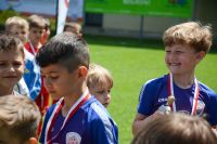 pfc3 u8 s