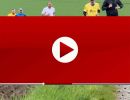 wfl2025  video 